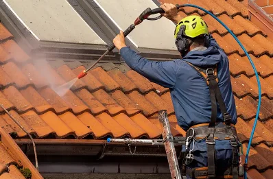 Démoussage et hydrofuge de toiture à Brussieu